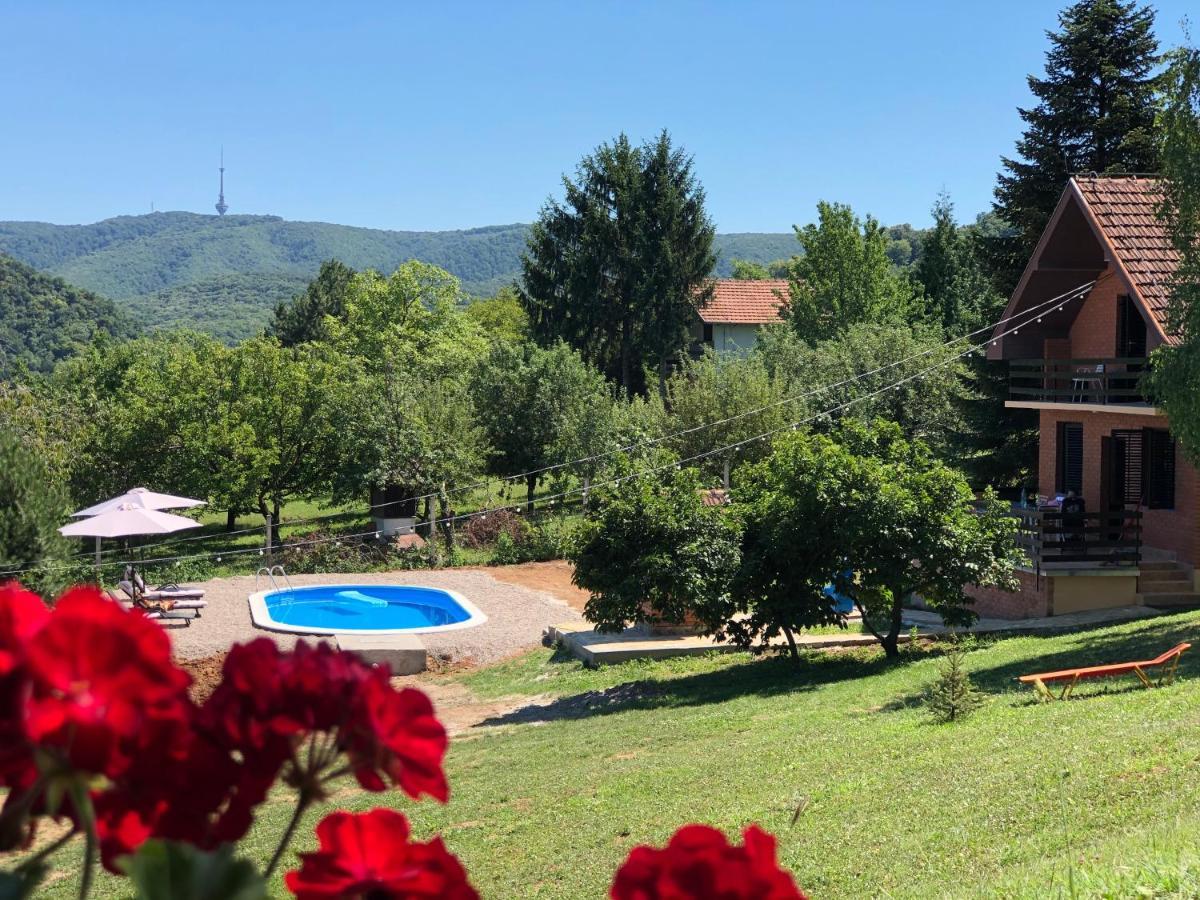 Fruska Pool House Villa Sremska Kamenica Luaran gambar