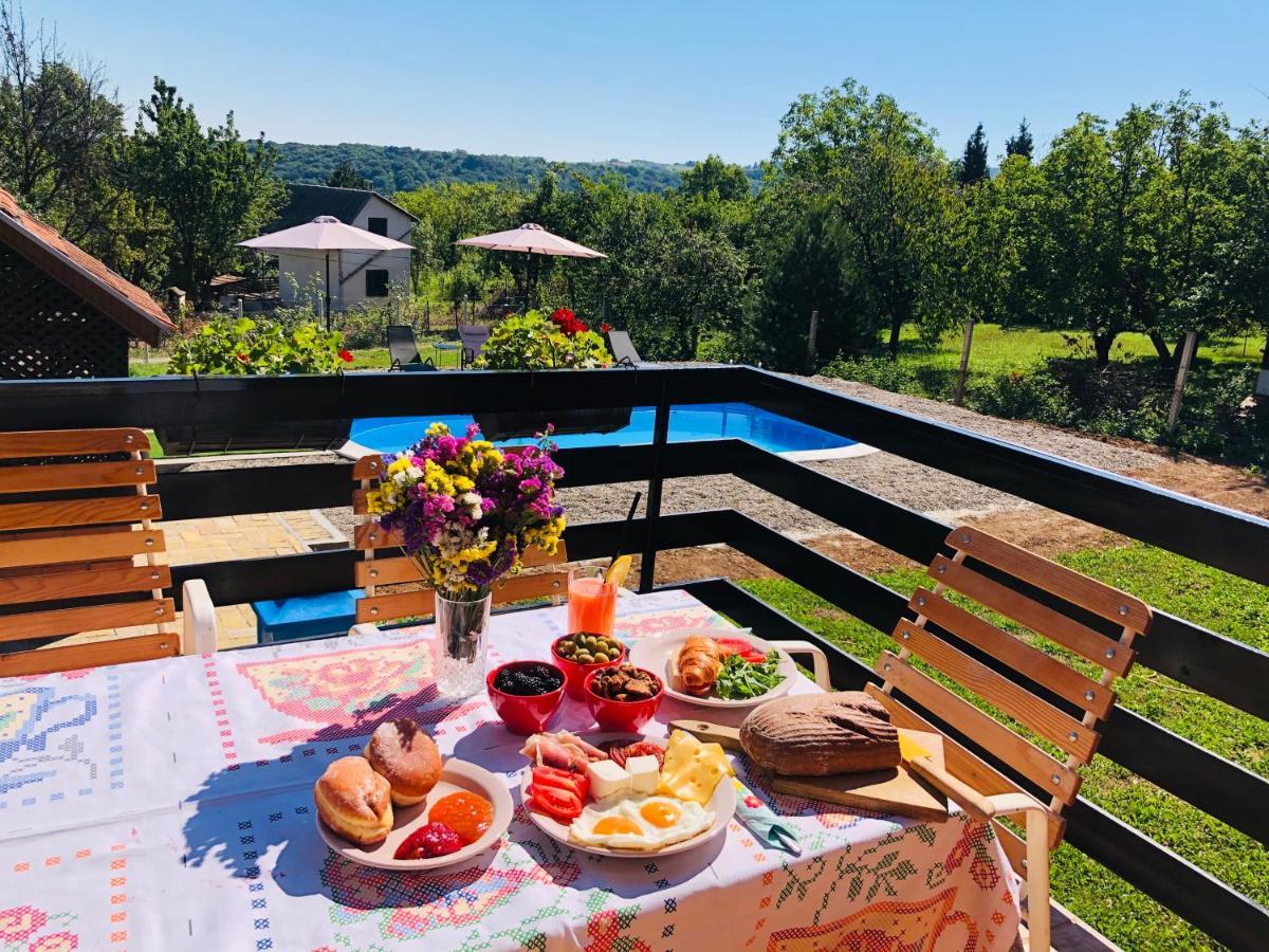 Fruska Pool House Villa Sremska Kamenica Luaran gambar