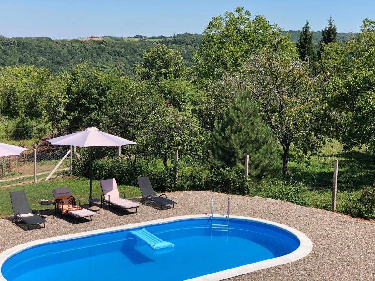 Fruska Pool House Villa Sremska Kamenica Luaran gambar