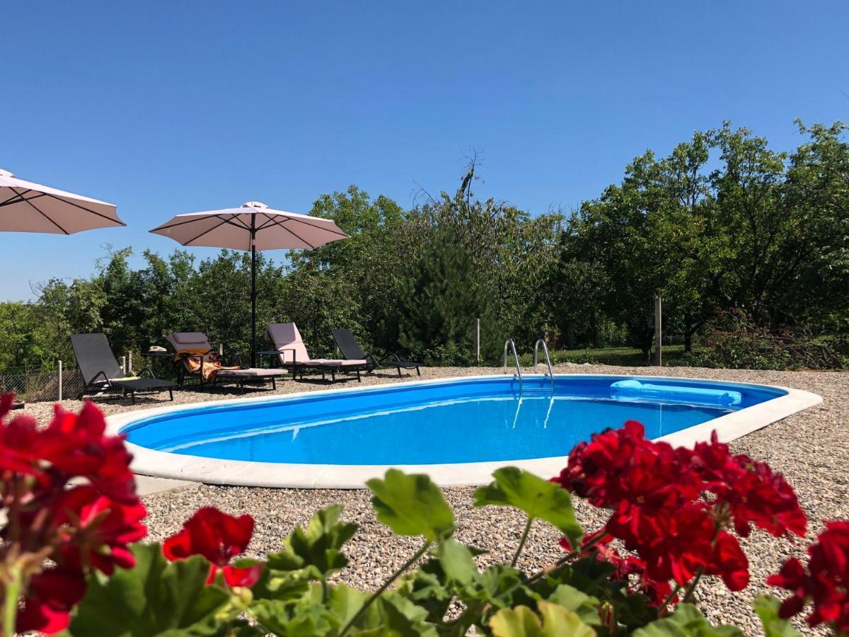 Fruska Pool House Villa Sremska Kamenica Luaran gambar