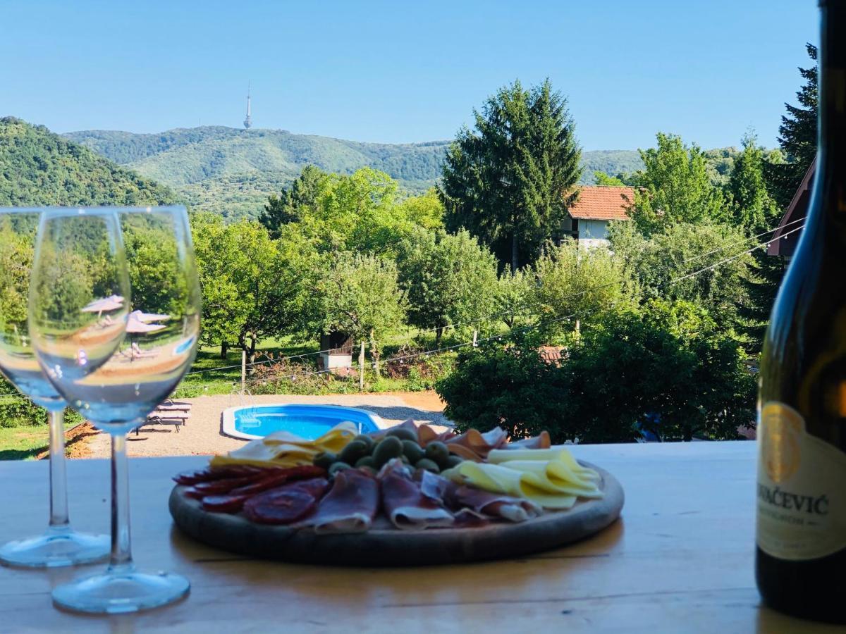 Fruska Pool House Villa Sremska Kamenica Luaran gambar