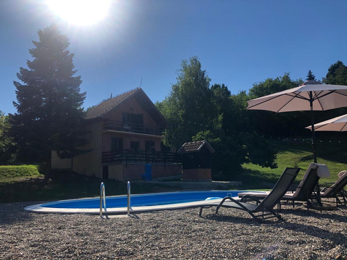 Fruska Pool House Villa Sremska Kamenica Luaran gambar