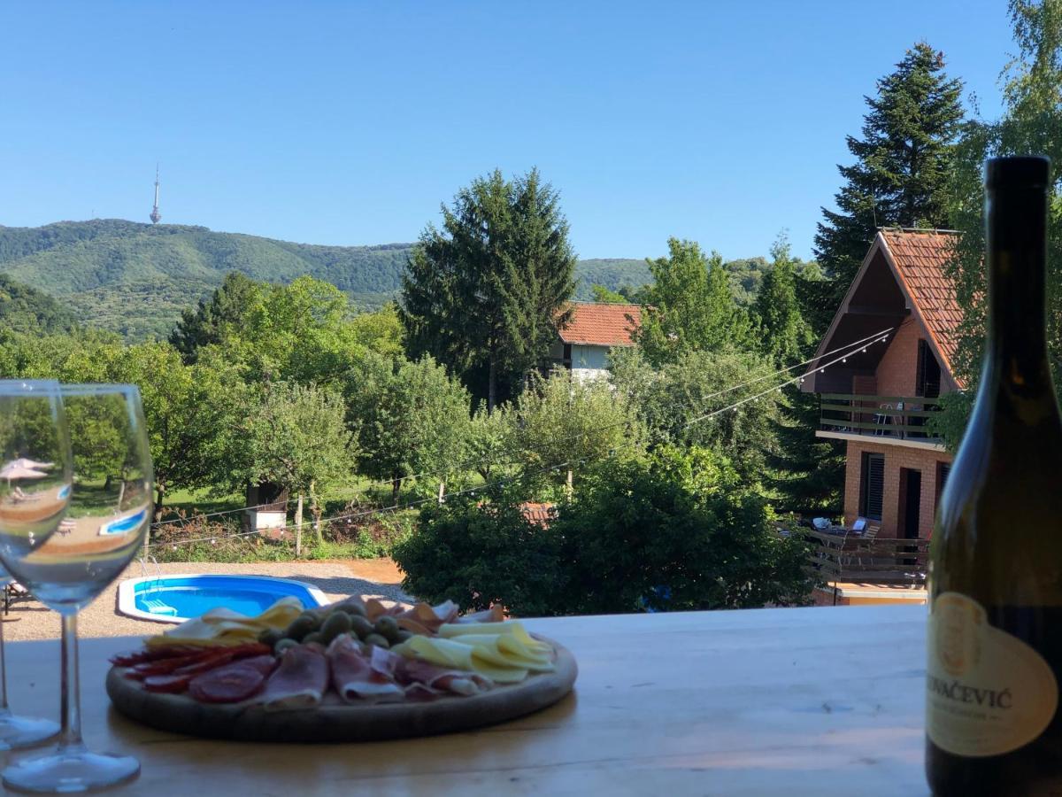 Fruska Pool House Villa Sremska Kamenica Luaran gambar