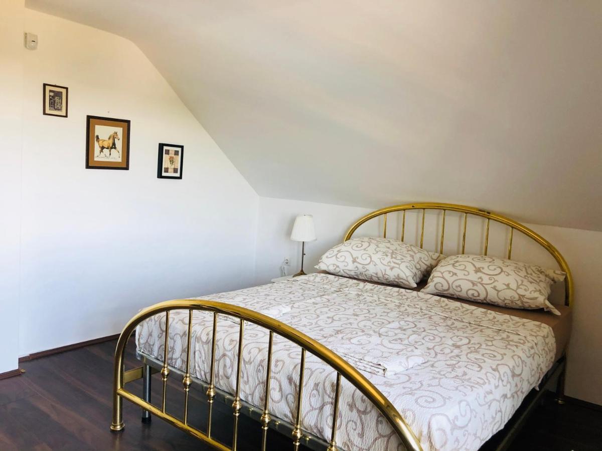 Fruska Pool House Villa Sremska Kamenica Luaran gambar