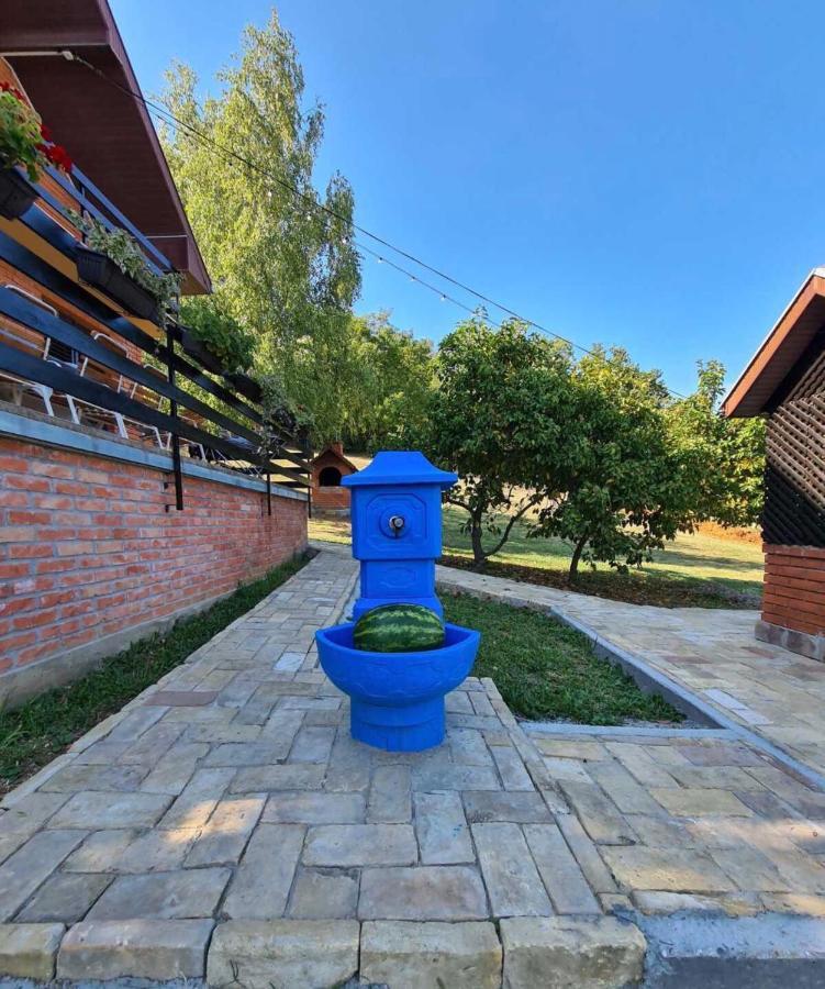 Fruska Pool House Villa Sremska Kamenica Luaran gambar