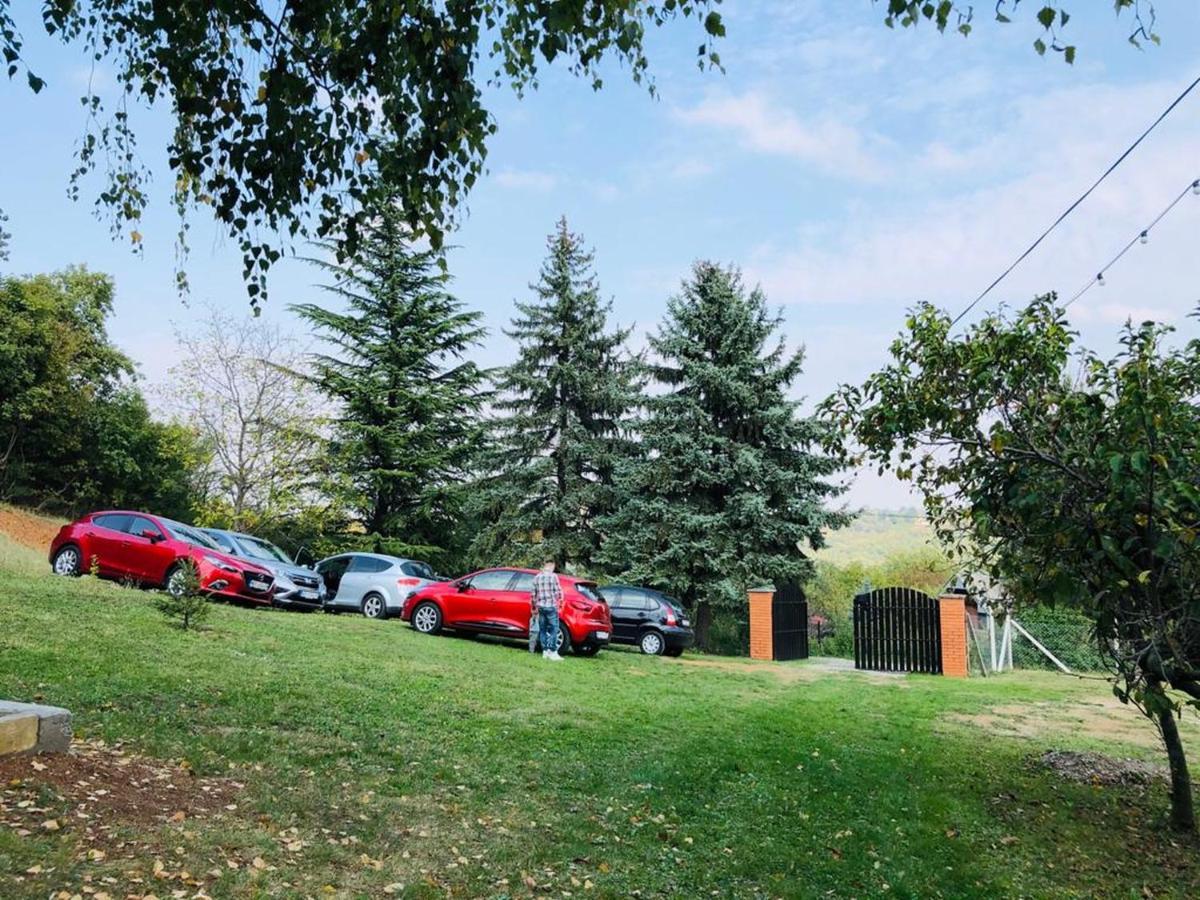 Fruska Pool House Villa Sremska Kamenica Luaran gambar