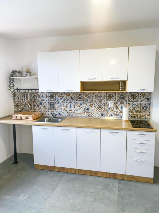 Fruska Pool House Villa Sremska Kamenica Luaran gambar