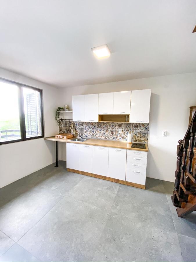 Fruska Pool House Villa Sremska Kamenica Luaran gambar