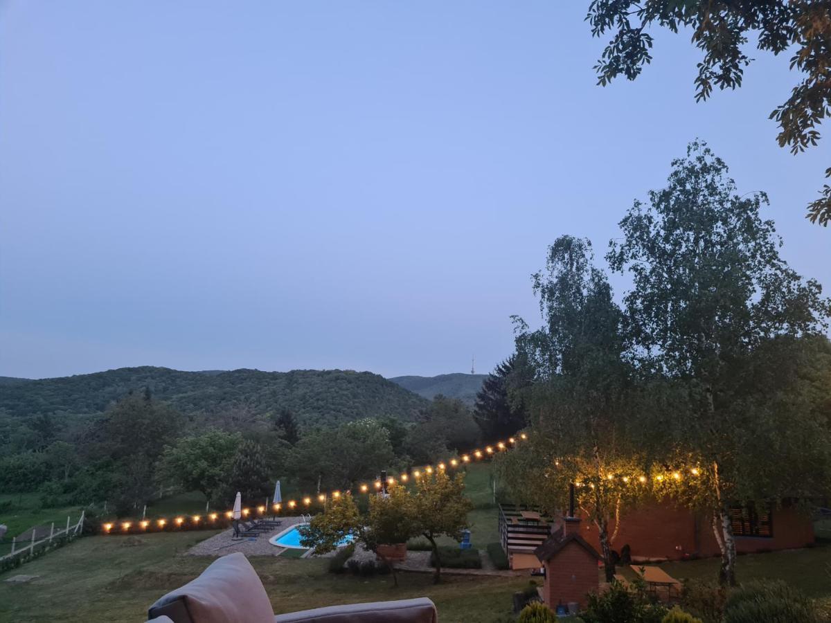 Fruska Pool House Villa Sremska Kamenica Luaran gambar