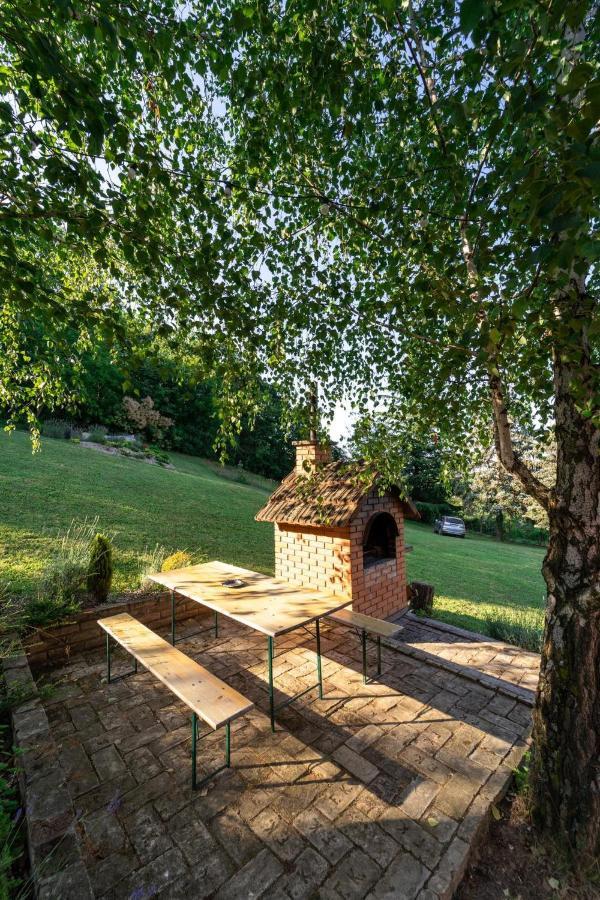 Fruska Pool House Villa Sremska Kamenica Luaran gambar