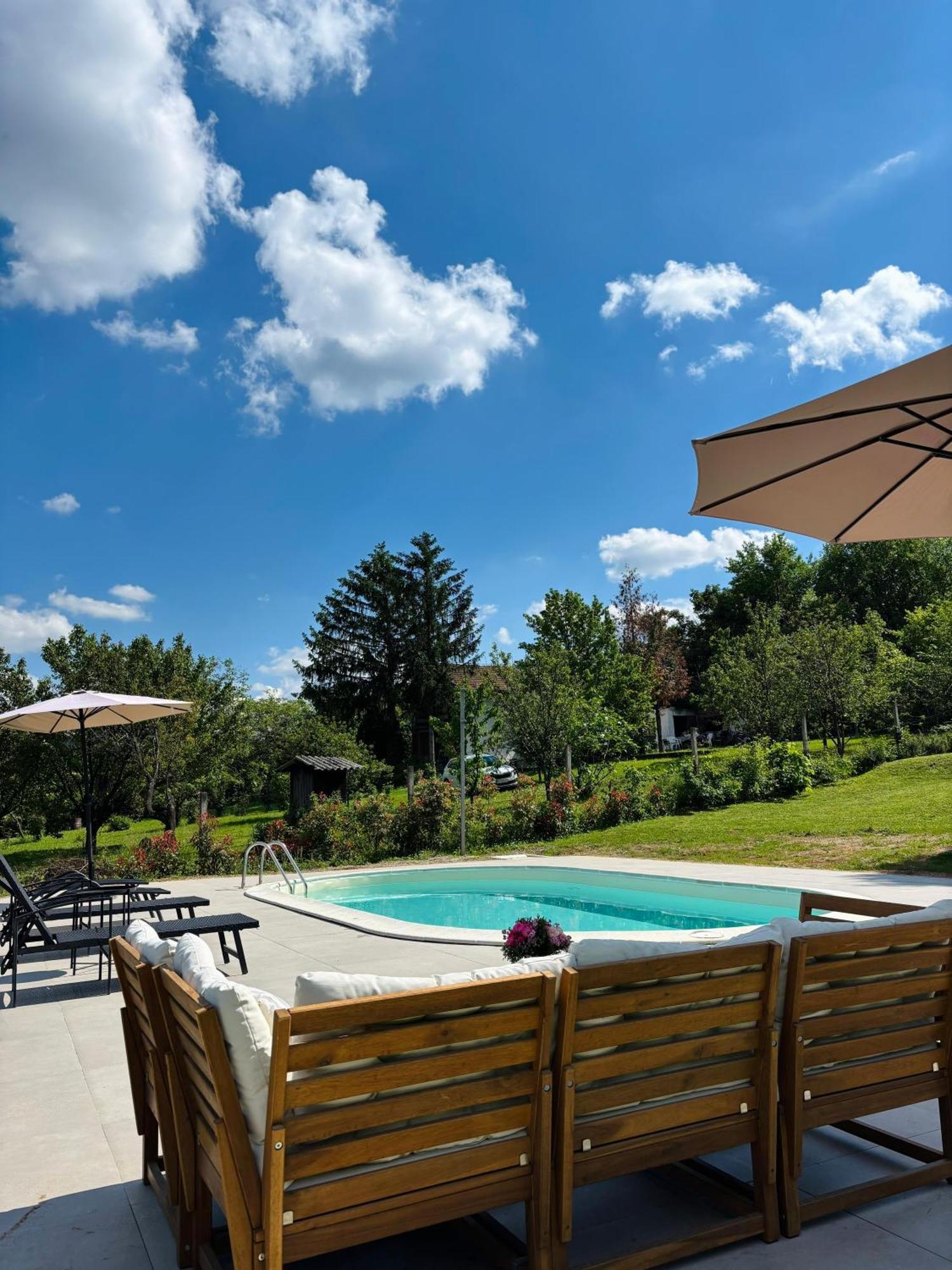 Fruska Pool House Villa Sremska Kamenica Luaran gambar