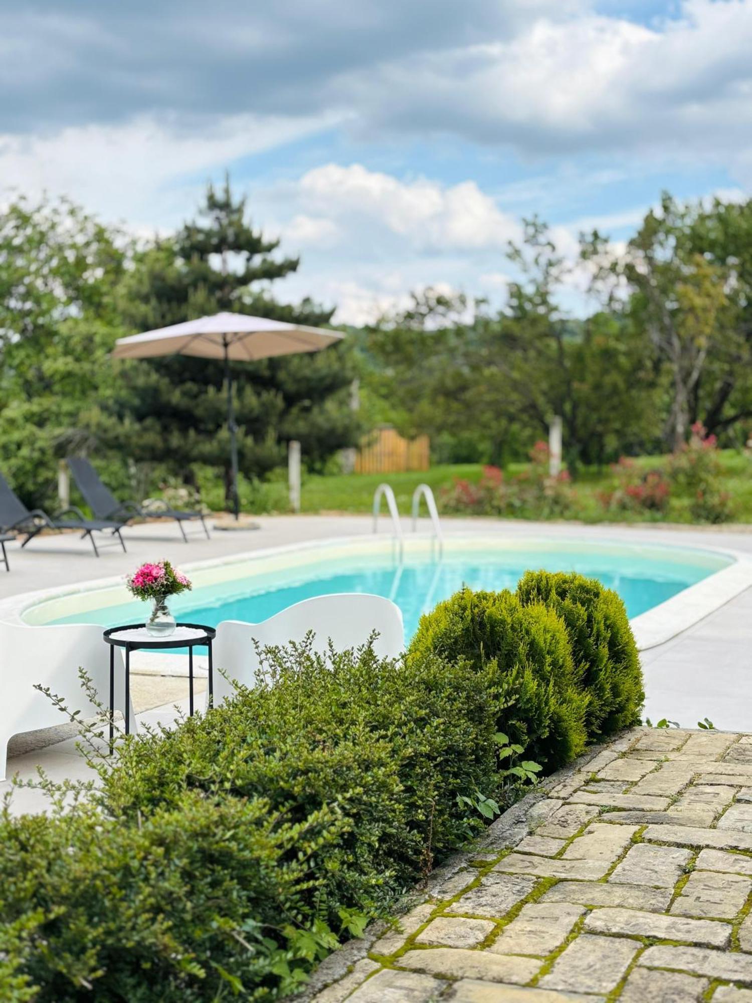 Fruska Pool House Villa Sremska Kamenica Luaran gambar