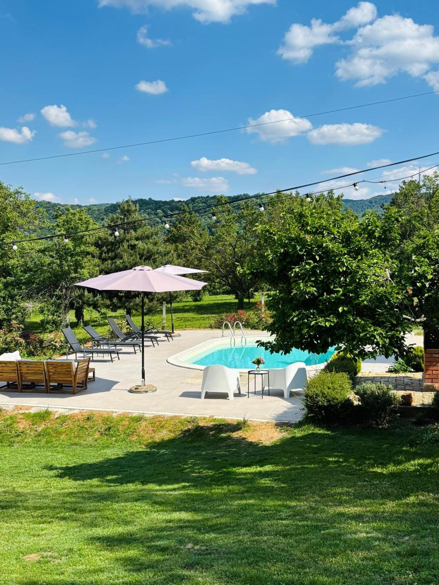 Fruska Pool House Villa Sremska Kamenica Luaran gambar