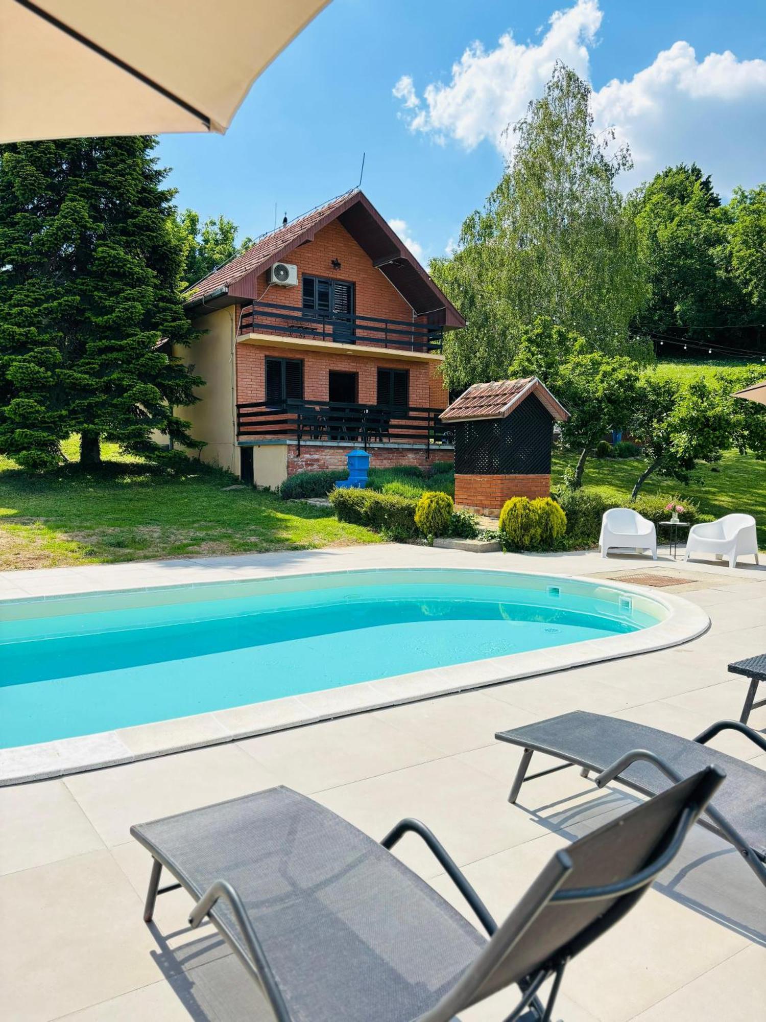 Fruska Pool House Villa Sremska Kamenica Luaran gambar